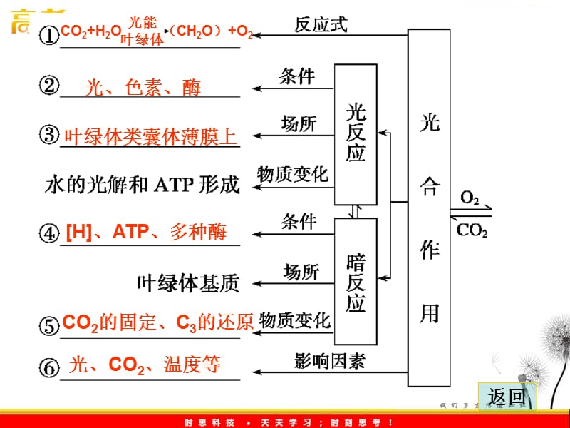 高中生物《金牌学案》2012届高考生物二轮专题复习课件：知识专题2学案4光合作用与细胞呼吸_第3页