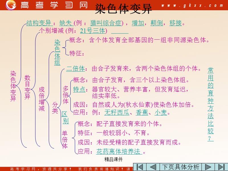 高中生物《染色体数目变异对性状的影响》课件1（19张PPT）（中图版必修2）_第3页