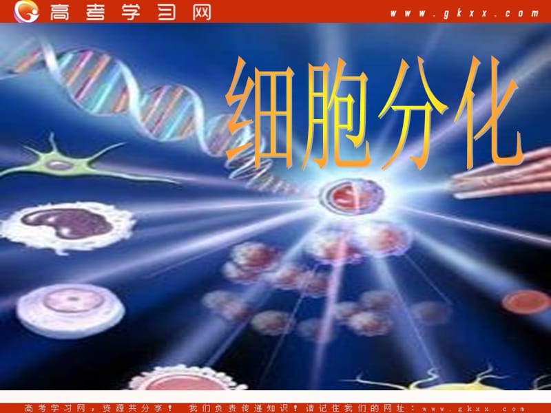 高中生物《细胞的分化》课件8（20张PPT）（人教版必修1）_第2页