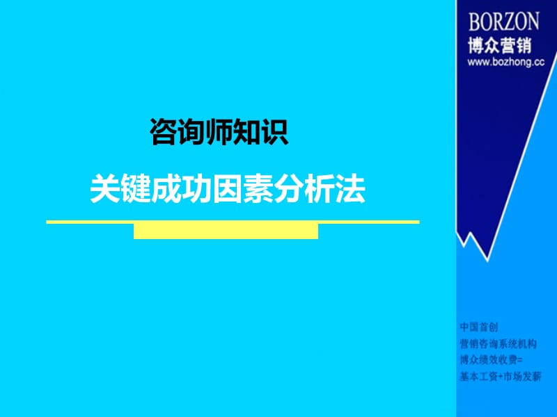 咨询师知识——关键成功因素分析法_第1页