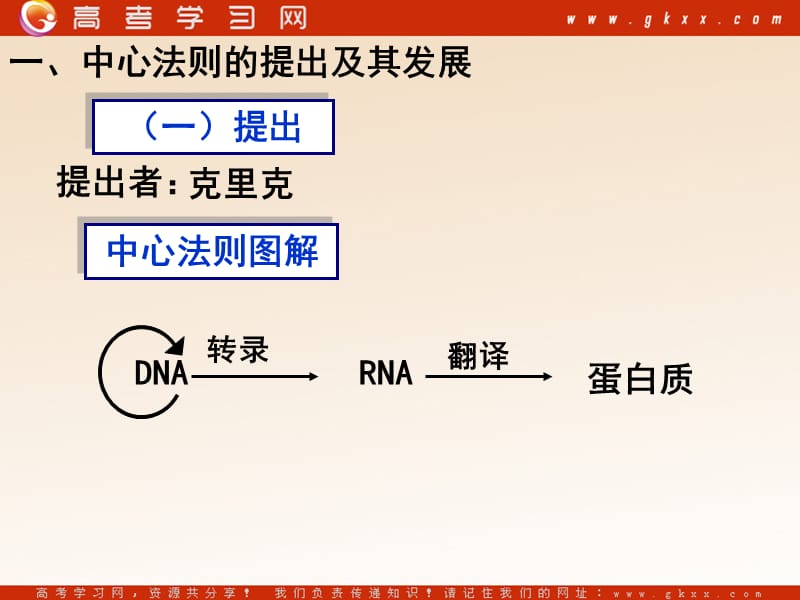 高中生物《基因对性状的控制》课件4（25张PPT）（人教版必修2）_第3页