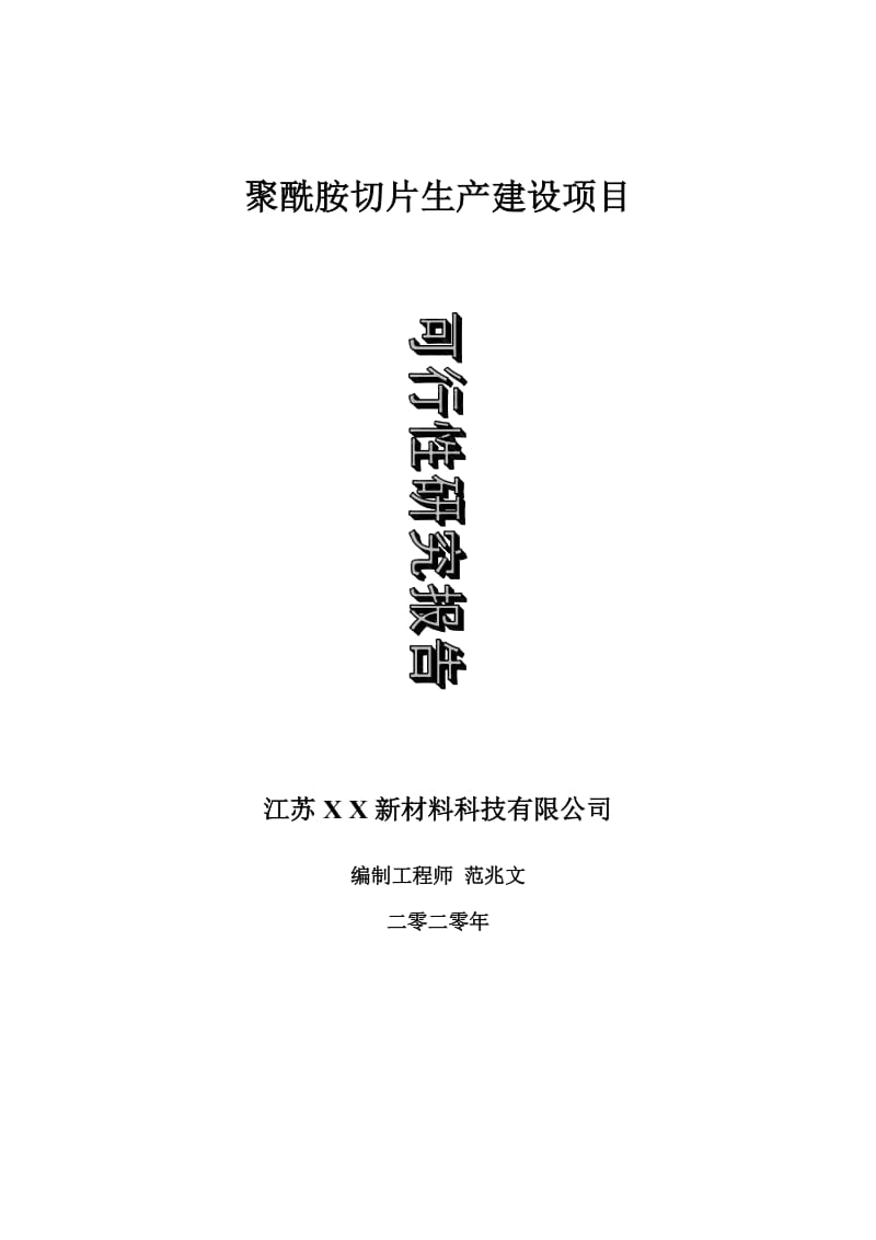 聚酰胺切片生产建设项目可行性研究报告-可修改模板案例_第1页