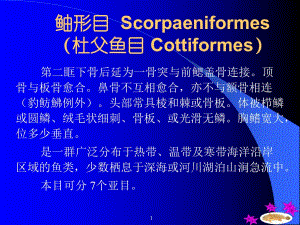 鲉形目Scorpaeniformes杜父鱼目Cottiform