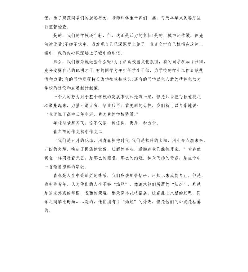 青年节的作文初中作文5篇.docx_第2页