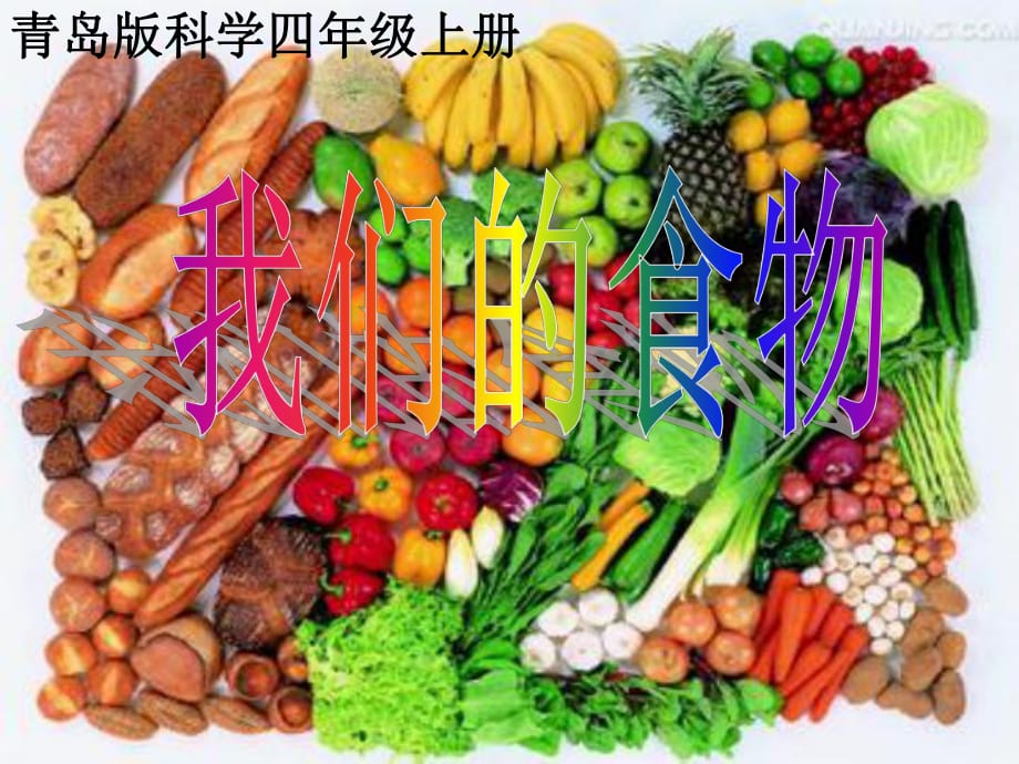 青島版小學(xué)科學(xué)四上《我們的食物》_第1頁