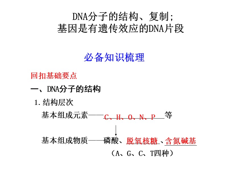 高三復(fù)習(xí)DNA分子的結(jié)構(gòu)、復(fù)制及基因_第1頁