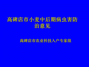 高碑店市小麥中后期有害生物防治意見