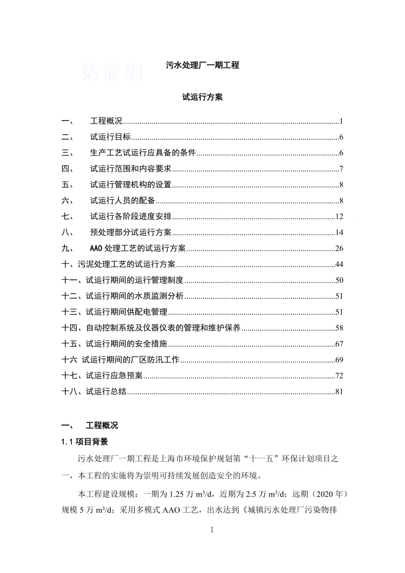 AAO工艺污水处理厂工艺调试方案_第1页