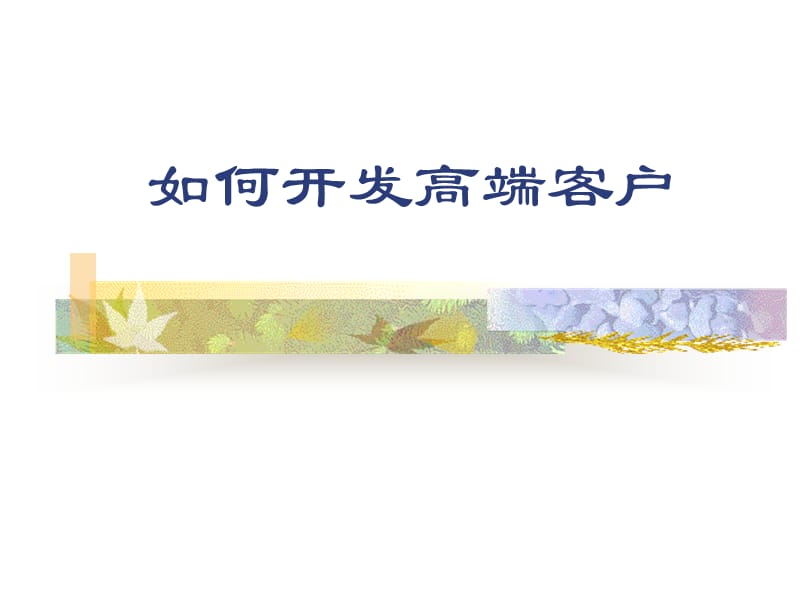 销售技巧如何开发高端客户_第1页