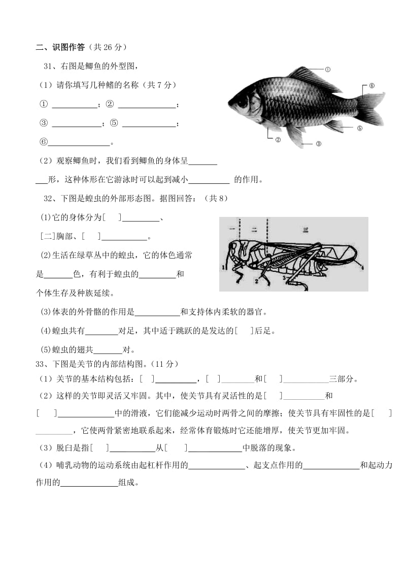 八年级生物上册期中考试试卷人教版[1]_第3页