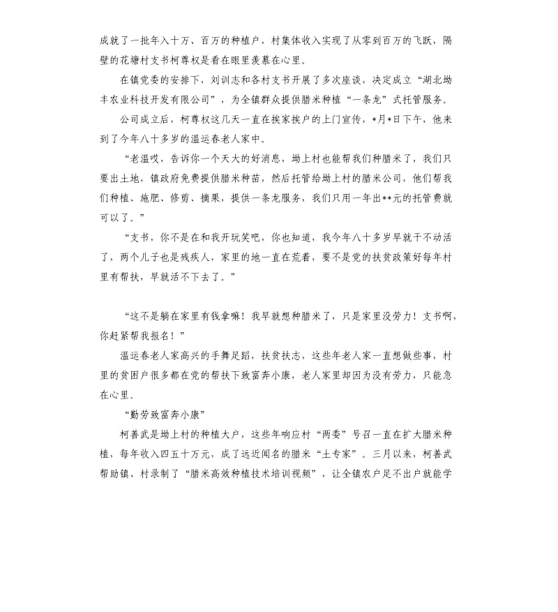 枫林镇春耕春种中红旗支书先进事迹.docx_第2页