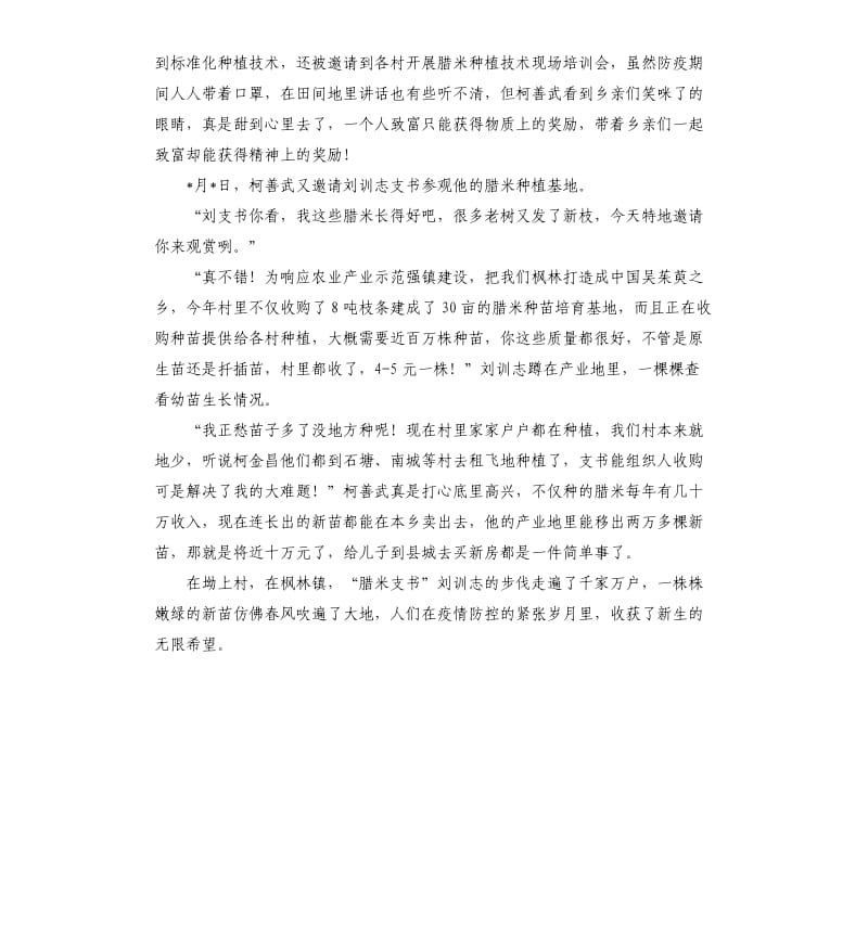 枫林镇春耕春种中红旗支书先进事迹.docx_第3页