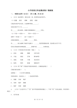 小升初語文畢業(yè)測試卷C卷新版