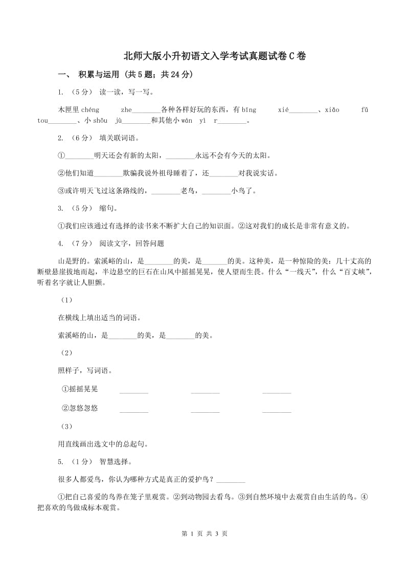 北师大版小升初语文入学考试真题试卷C卷_第1页