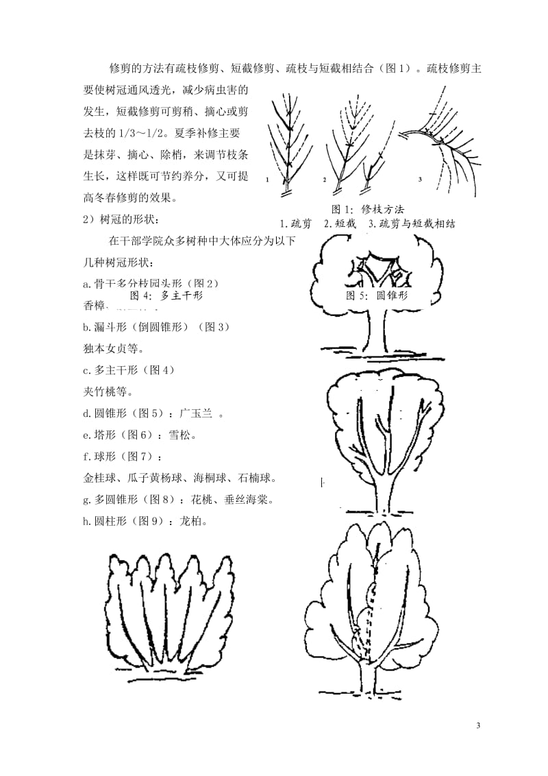 工程养护方案_第3页