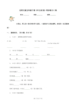 北師大版五年級下冊《葉公好龍》同步練習(xí)C卷