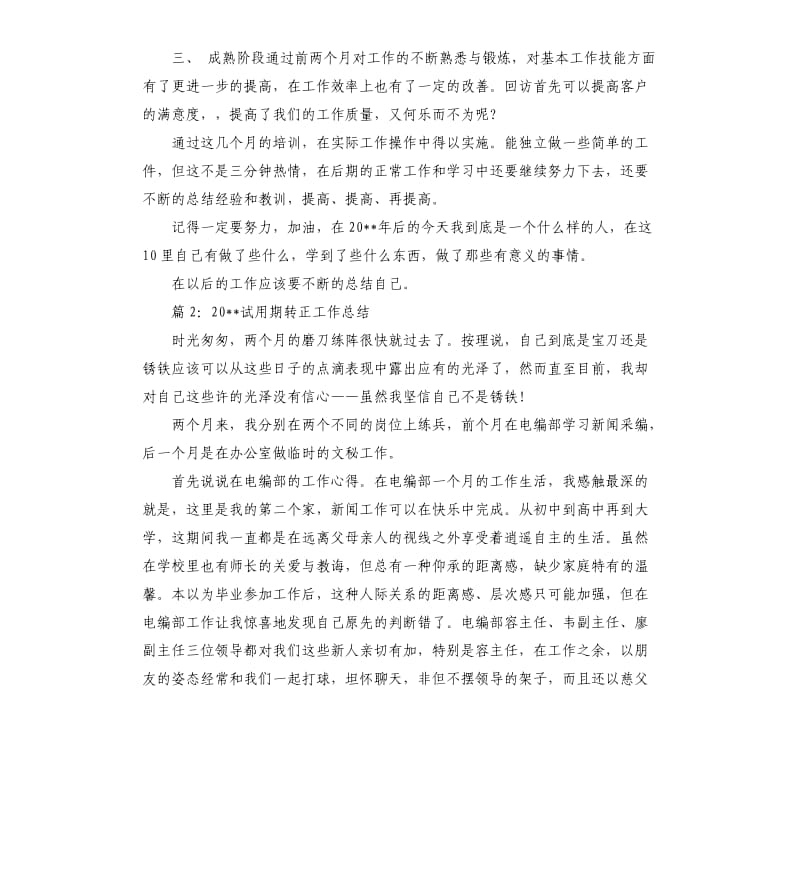 2020试用期转正工作总结.docx_第3页