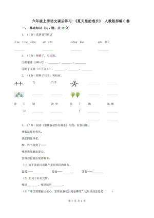 六年級(jí)上冊(cè)語(yǔ)文課后練習(xí)-《夏天里的成長(zhǎng)》 人教版部編C卷