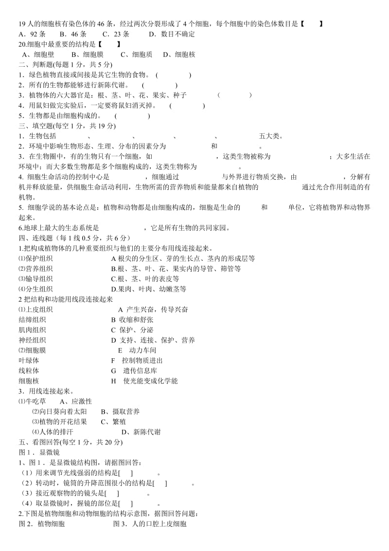 初一级生物上册期中考试试卷_第2页