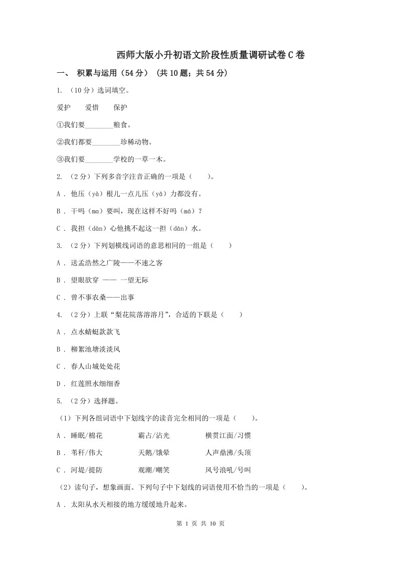 西师大版小升初语文阶段性质量调研试卷C卷_第1页