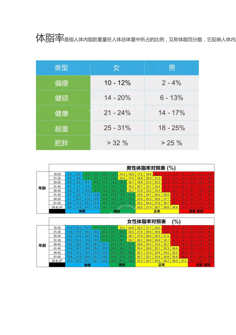 测测你的体脂率-附男女标准体脂率对照表_第1页