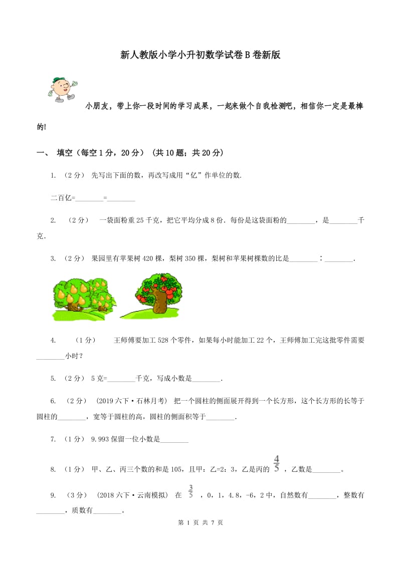 新人教版小学小升初数学试卷B卷新版_第1页