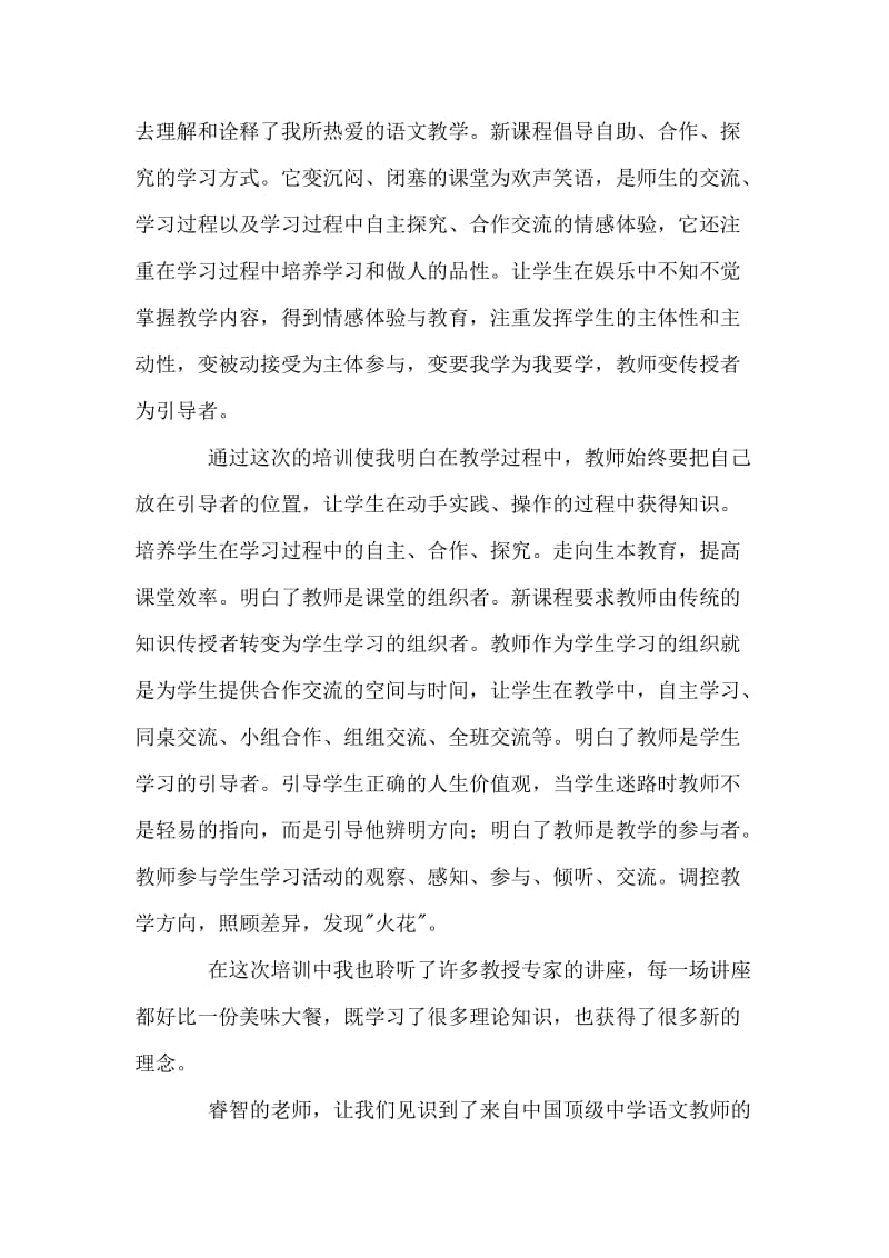 初中语文个人研修总结_第3页