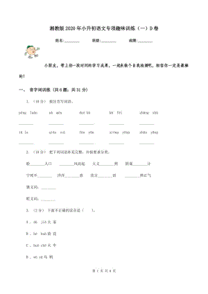 湘教版2020年小升初語文專項趣味訓練（一）D卷