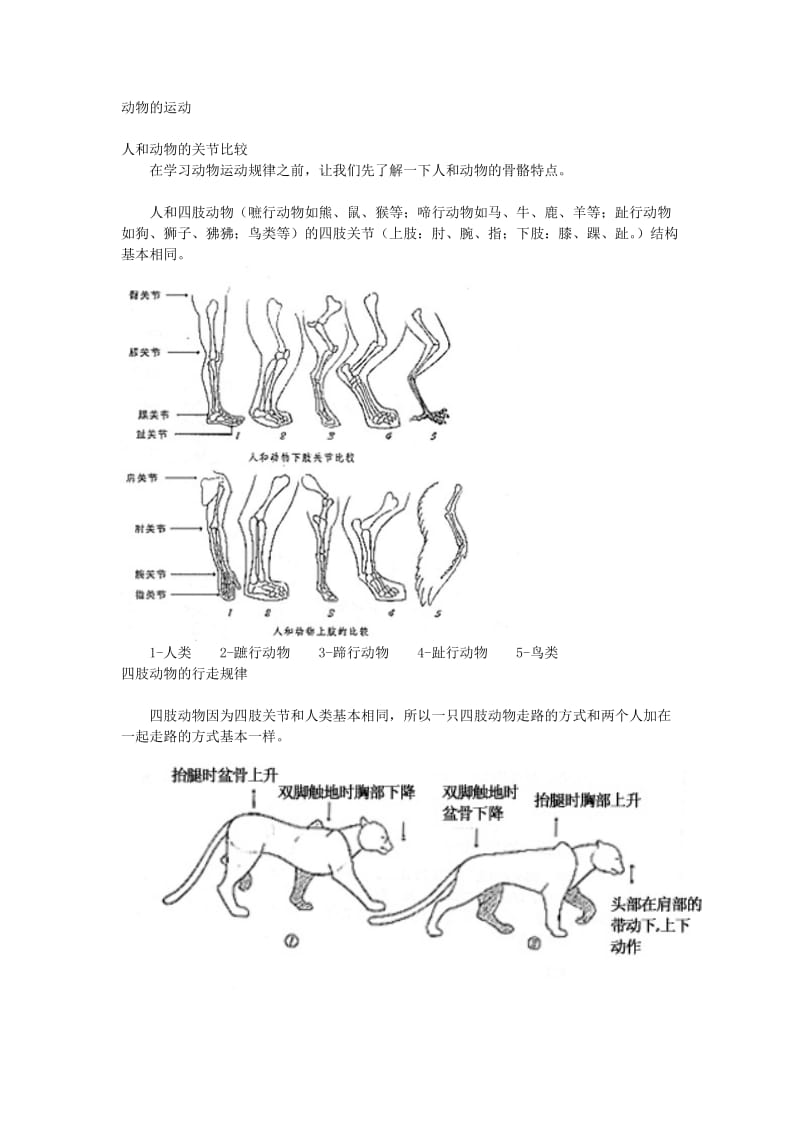 动物动作设计-兽类走_第1页