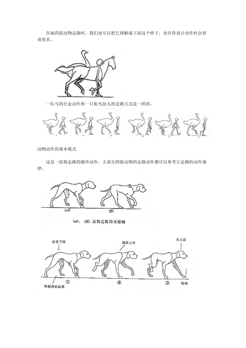 动物动作设计-兽类走_第2页