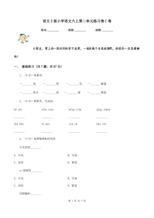 語文S版小學(xué)語文六上第二單元練習(xí)卷C卷