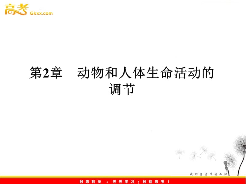 高考生物一轮复习课件2.46 动物和人体生命活动的调节（人教版必修3）_第2页