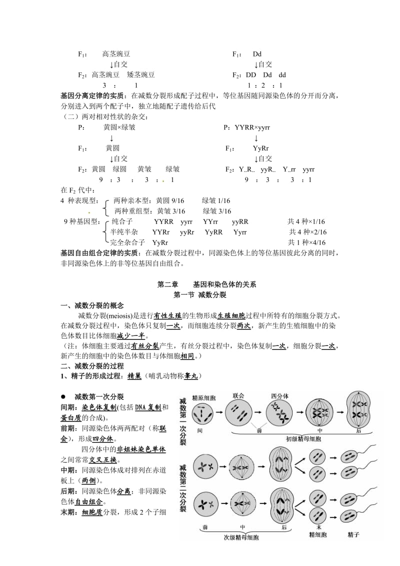 高中生物必修二知识点总结(最全版)_第2页