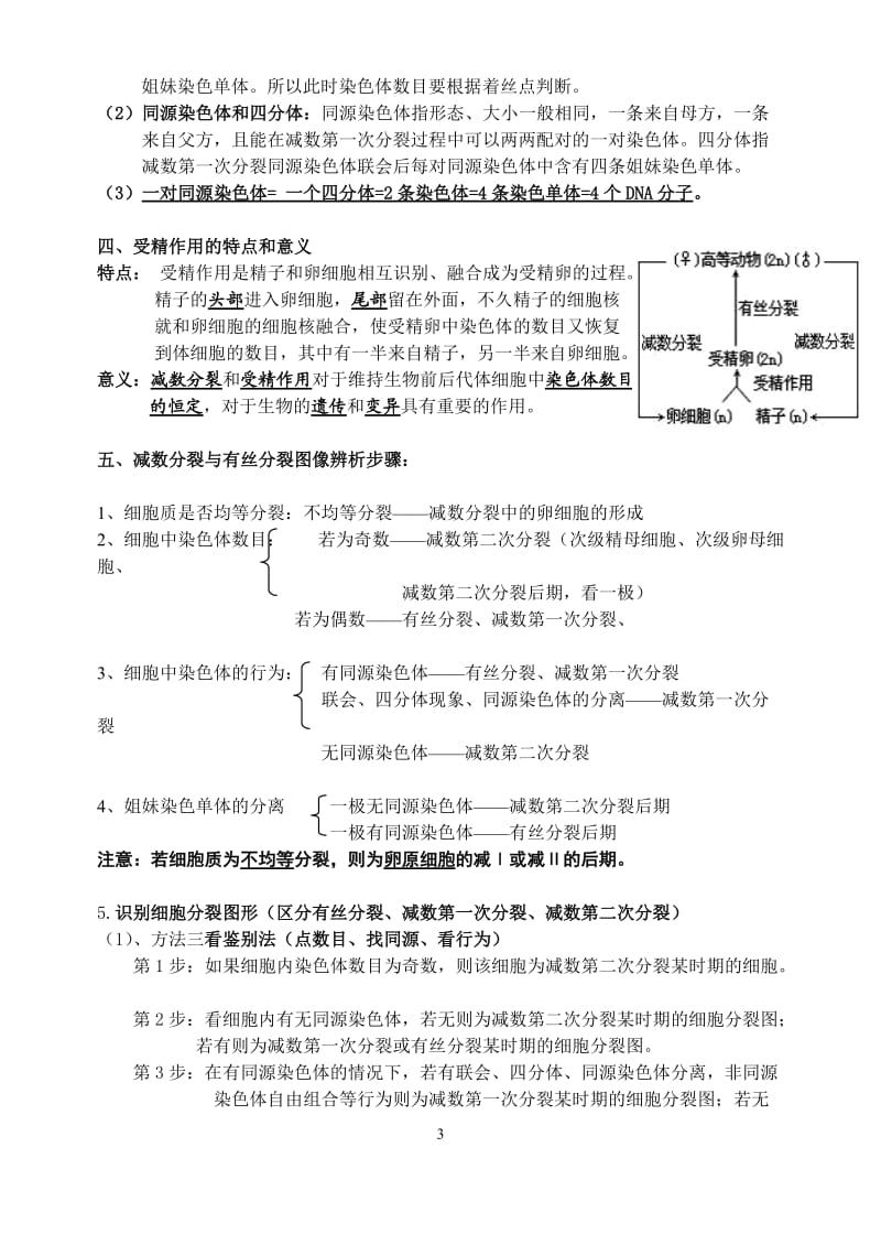 高中生物必修二第二章知识点总结_第3页