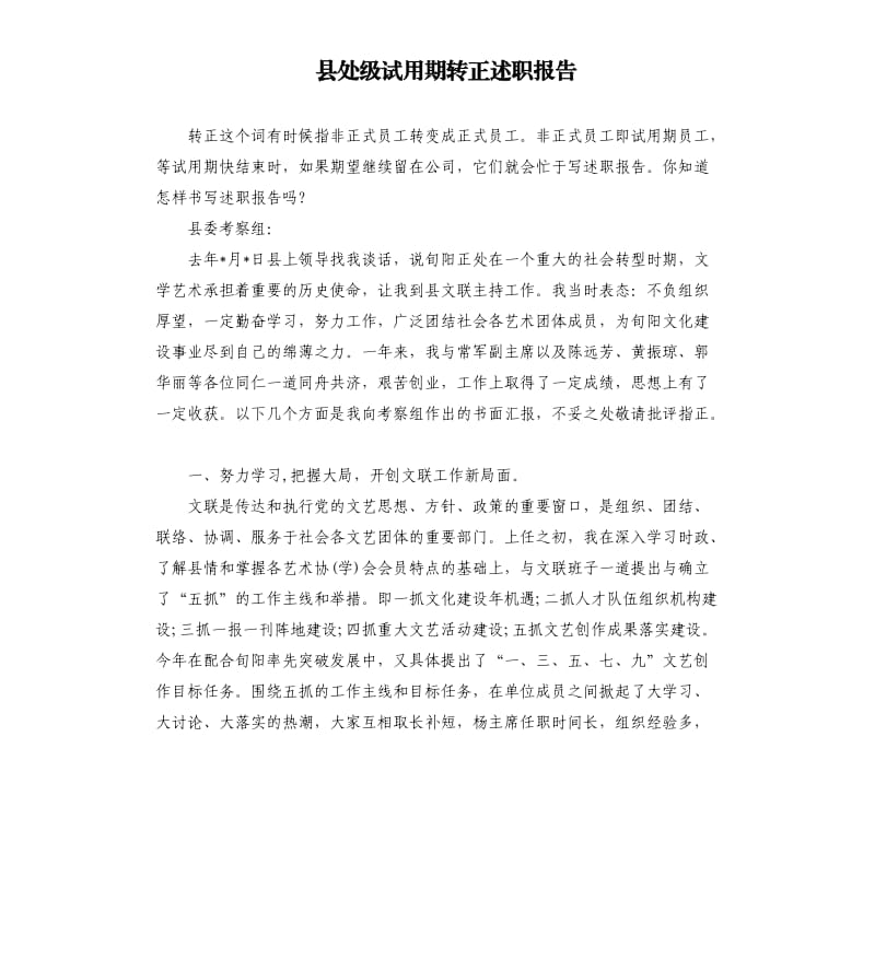 县处级试用期转正述职报告.docx_第1页