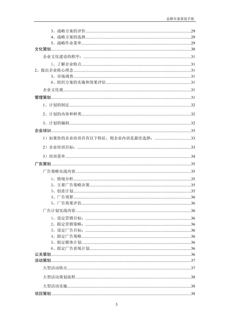 企业品牌全案策划及实施内容_第3页