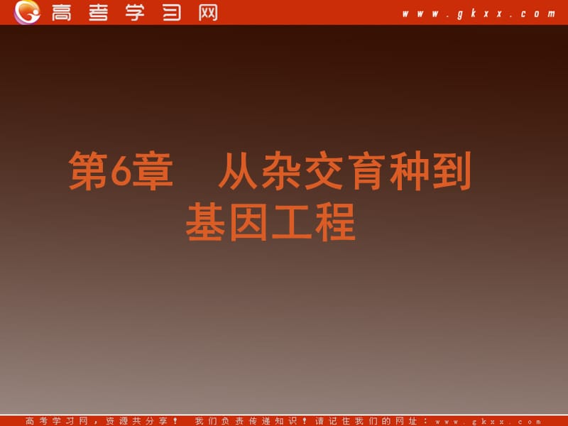 必修2学练考课件：第6章《从杂交育种到基因工程》（77张ppt）_第3页