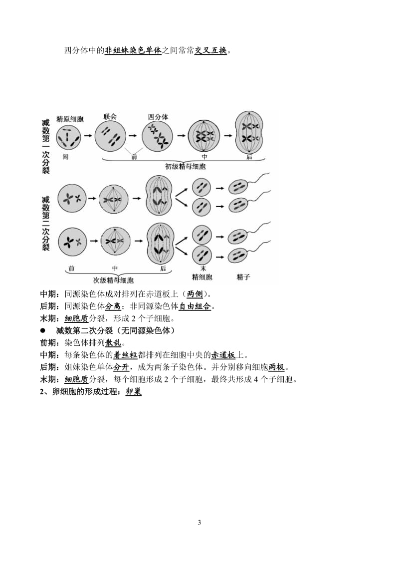 人教版高中生物必修二知识点总结(内容精炼)_第3页