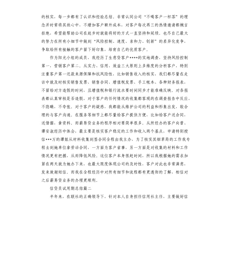 信贷员试用期总结.docx_第2页