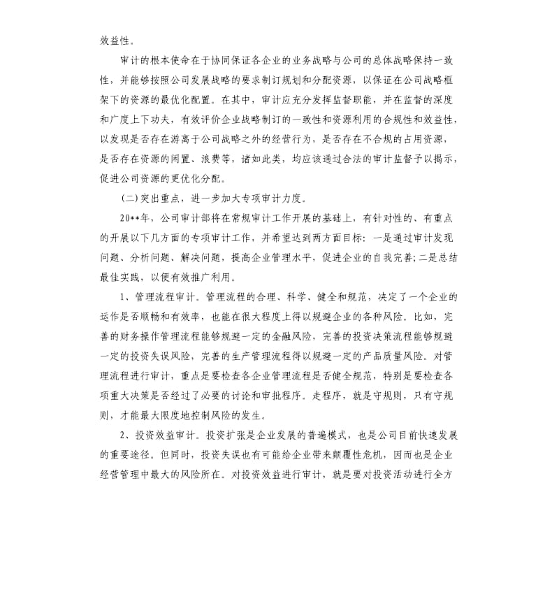 2020年公司审计师工作计划.docx_第2页