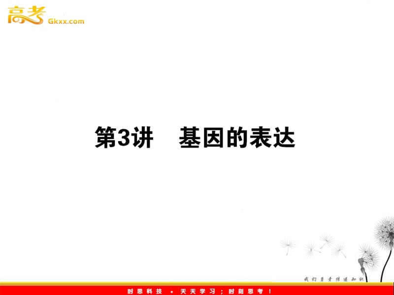 高考生物一轮复习课件：《基因的表达》（人教版必修2）_第2页