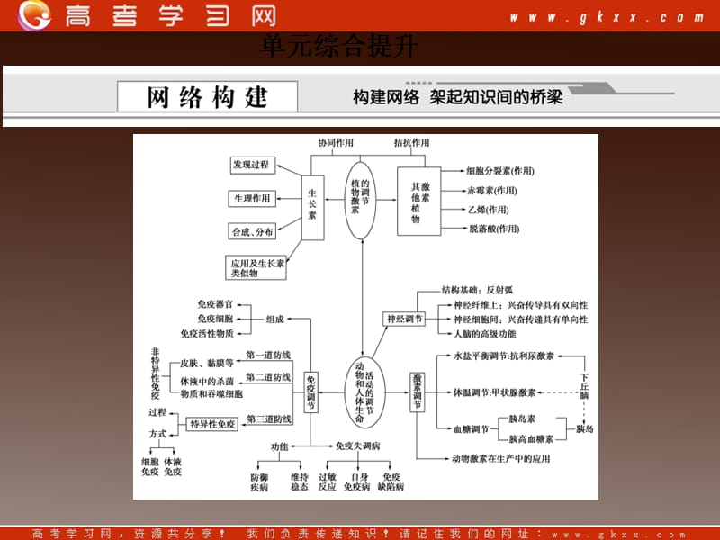 高考生物必修3总复习课件6_第2页