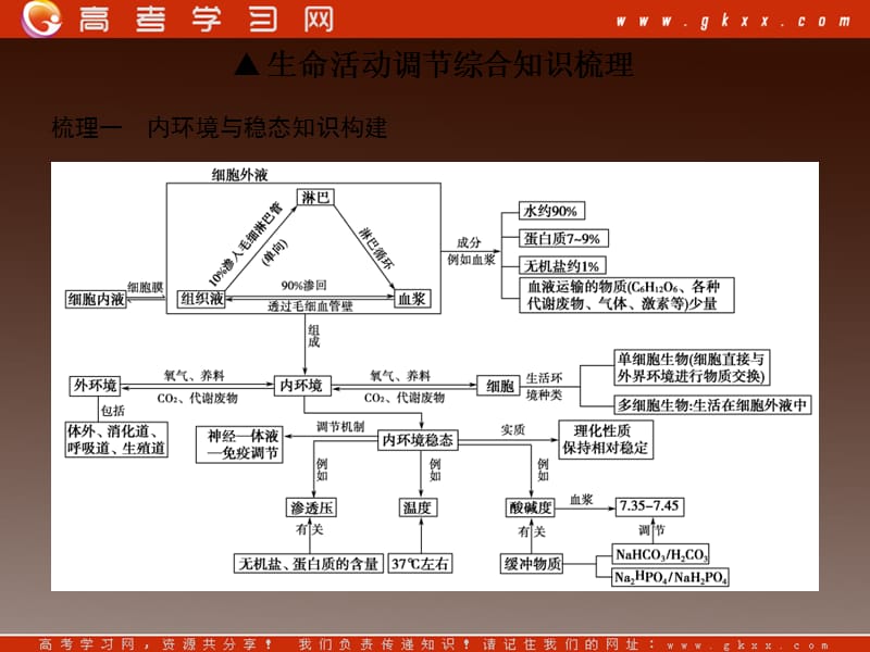 高考生物必修3总复习课件6_第3页