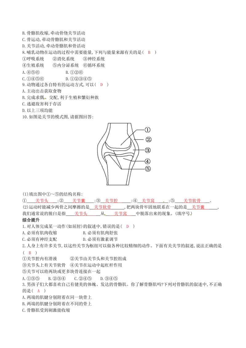 人教版生物八年级上册第二章-动物的运动和行为_第3页