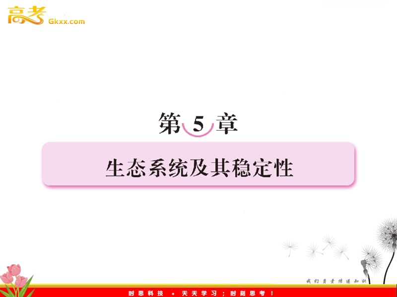 高考生物一轮复习精选课件：必修三 5.1.《生态系统的结构》（新人教版）_第2页