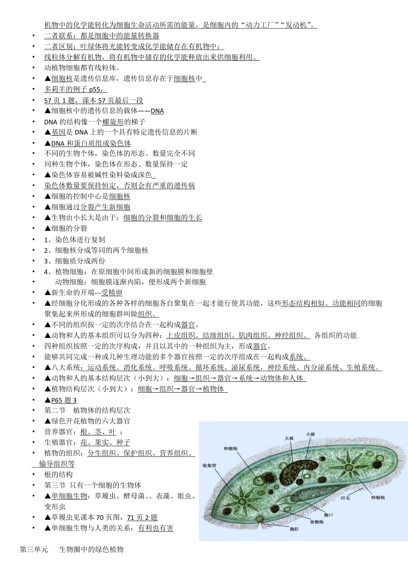 人教版七年级初一生物上册知识点总结_第3页