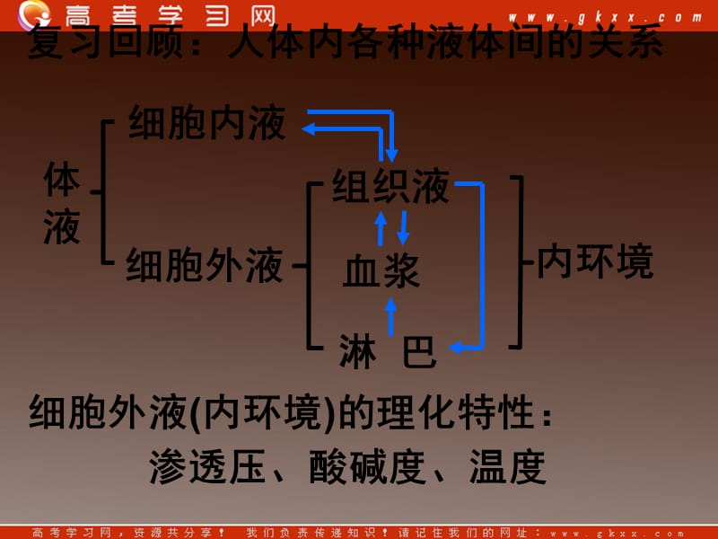 高二生物备课资料：《内环境稳态的重要性》课件新人教版必修3_第3页