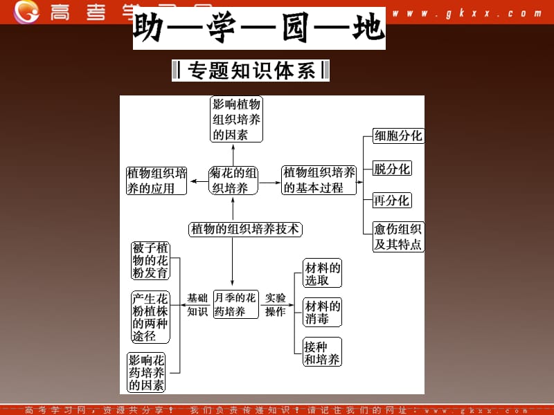 高二生物质疑解惑课件：专题3《植物组织培养技术》专题整合（人教版选修I）_第3页