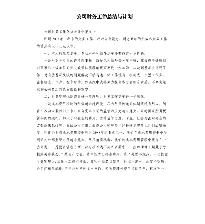 公司财务工作总结与计划.docx_第1页