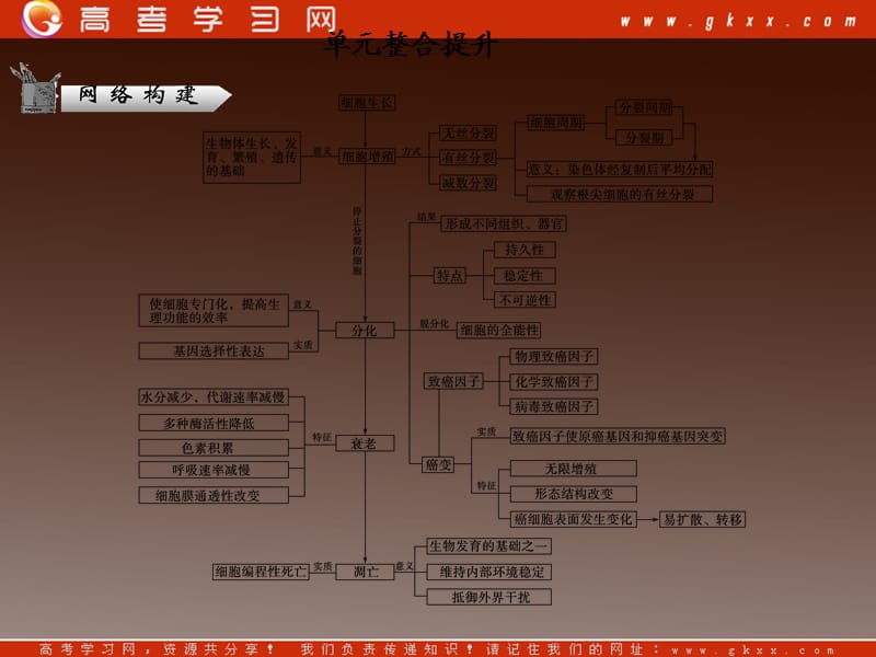 高考二轮复习苏教版生物必修1 1-5单元整合提升_第2页